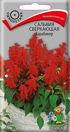 Сальвия сверкающая Карабинер (ЦВ) ("1) 0,1гр.