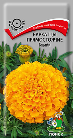 СЕМЕНА ЦВЕТОВ  БАРХАТЦЫ ПРЯМОСТОЯЧИЕ (ТАГЕТЕС)  "ГАВАЙИ" ("1)  0,4 Г (10/2000) "ПОИСК"