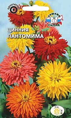 цветок Цинния Пантомима (кактусовая, смесь цветов) (Евро, 0,5)