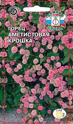цветок Горец Аметистовая Крошка (головчатый) (Евро, 0,1)