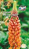 цветок Люпин многолетний Месье Пьер (светло-красный) (Евро, 0,2)