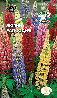 цветок Люпин Рапсодия (Евро, 0,5)