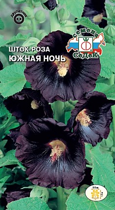 цветок Шток-роза Южная ночь (темно-бордовая) (Евро, 0,5)
