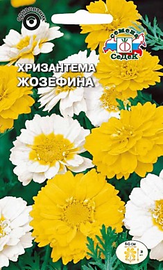 хризантема Жозефина(овощн.) (Евро, 0,5)