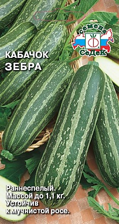 кабачок Зебра (Евро, 2)