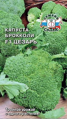 капуста Цезарь F1 (БРОК) (Евро, 0,3)