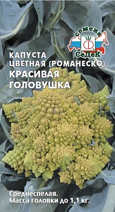 капуста Красивая головушка ( ЦВ ) (Евро, 0,5)