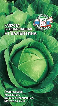 капуста Валентина F1 (Б/К) (Евро, 0,1)