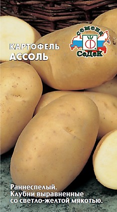 картофель Ассоль (Евро, 0,02)
