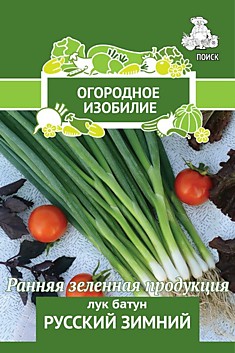 Лук батун Русский зимний (Огородное изобилие) 1гр