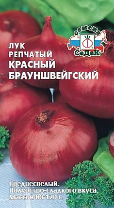 лук Красный Брауншвейгский (репч.) (Евро, 1)