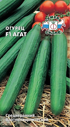 огурец Агат F1 (Евро, 0,15)