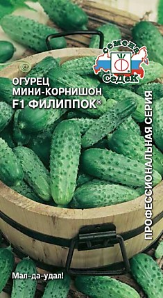 огурец Филиппок F1® з/г (Евро, 0,3)