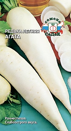 редька Агата (Евро, 1)