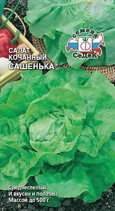 салат Сашенька (кочанный) (Евро, 1)