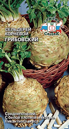 сельдерей Грибовский (корневой) (Евро, 0,5)