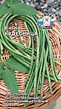 вигна овощная Кудесница (Евро, 3)