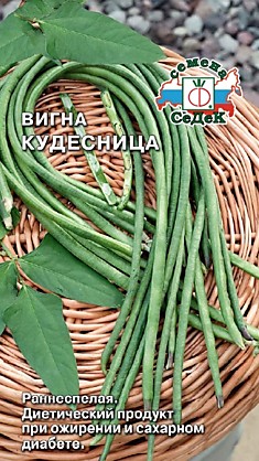 вигна овощная Кудесница (Евро, 3)