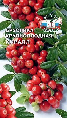 ягода Брусника  крупноплодная Коралл (Евро, 0,05)