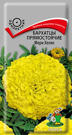 СЕМЕНА ЦВЕТОВ  БАРХАТЦЫ ПРЯМОСТОЯЧИЕ (ТАГЕТЕС)  "МЕРИ ХЕЛЕН" ("1)  0,4 Г (10/2000) "ПОИСК"