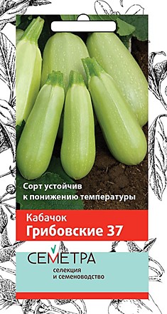 Кабачок Грибовские 37  2гр