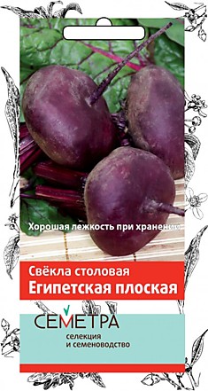 Свекла Египетская плоская